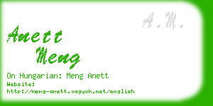 anett meng business card